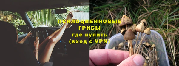 гидропоника Арсеньев